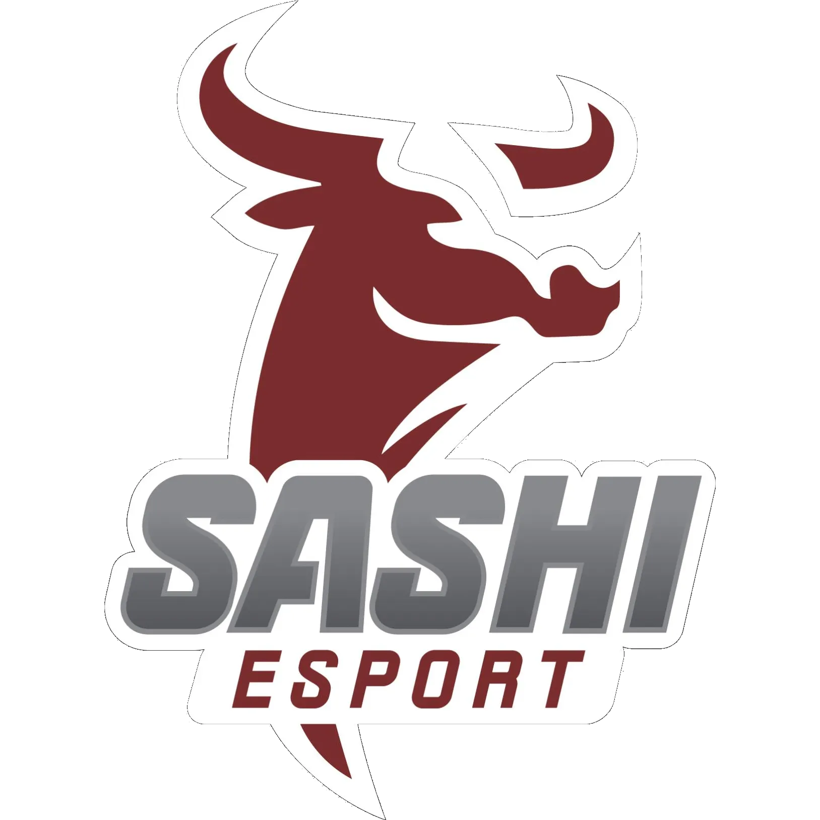 Sashi Esports