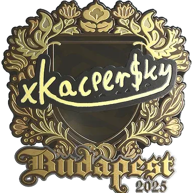 xKacpersky NIP Ninjas in Pyjamas